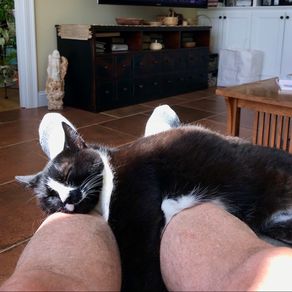 Meet your Posher, Bruce